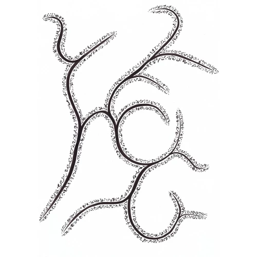 codesdelumiere67
